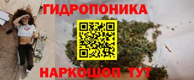 mdpv Можга