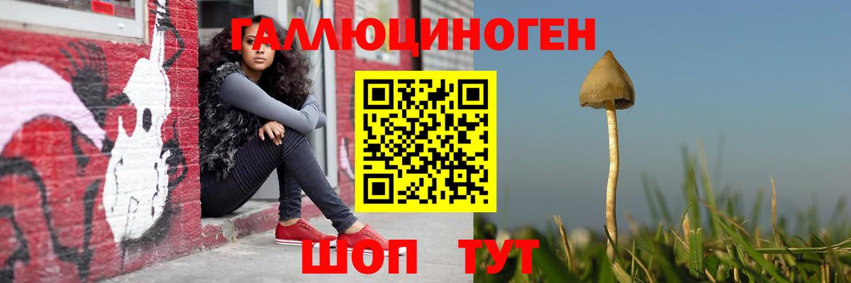 Псилоцибиновые грибы мухоморы  Вход с VPN  где найти наркотики  Унеча  Псилоцибиновые грибы мицелий 