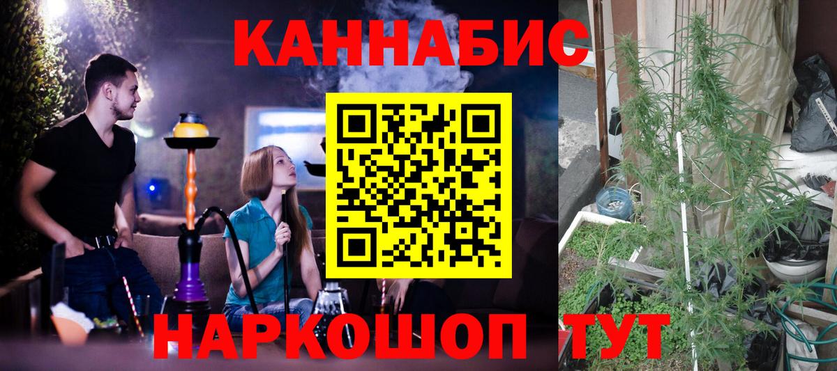 Конопля планчик  Вход с VPN  Унеча  Конопля THC 21% 